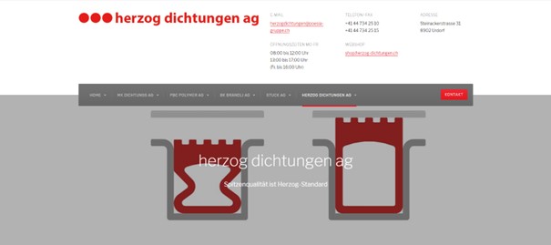 herzog dichtungen ag